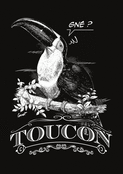 Un toucan qui fait le malin